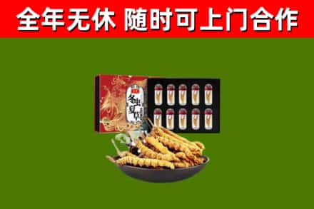 望城区回收冬虫夏草价格
